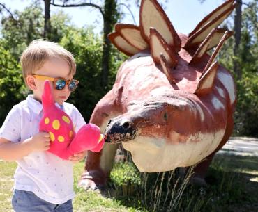 Dinosaurs in the Woods Barber Marina