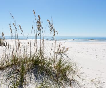 gulf Shores Beach