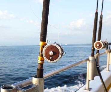 Fishing Rod