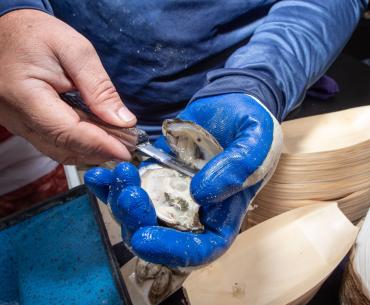 Raw Oyster