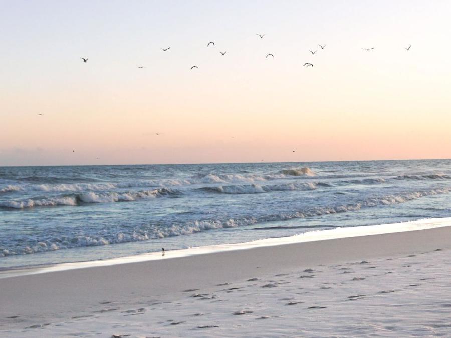 Gulf Shores Beach Sunset