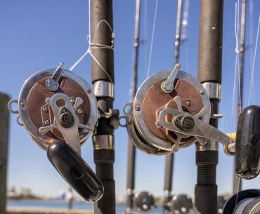 Fishing Rods Orange Beach