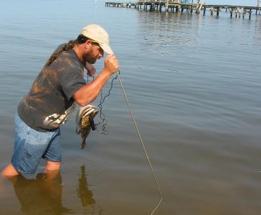 Jubilee Fishing Phenomenon Mobile Bay