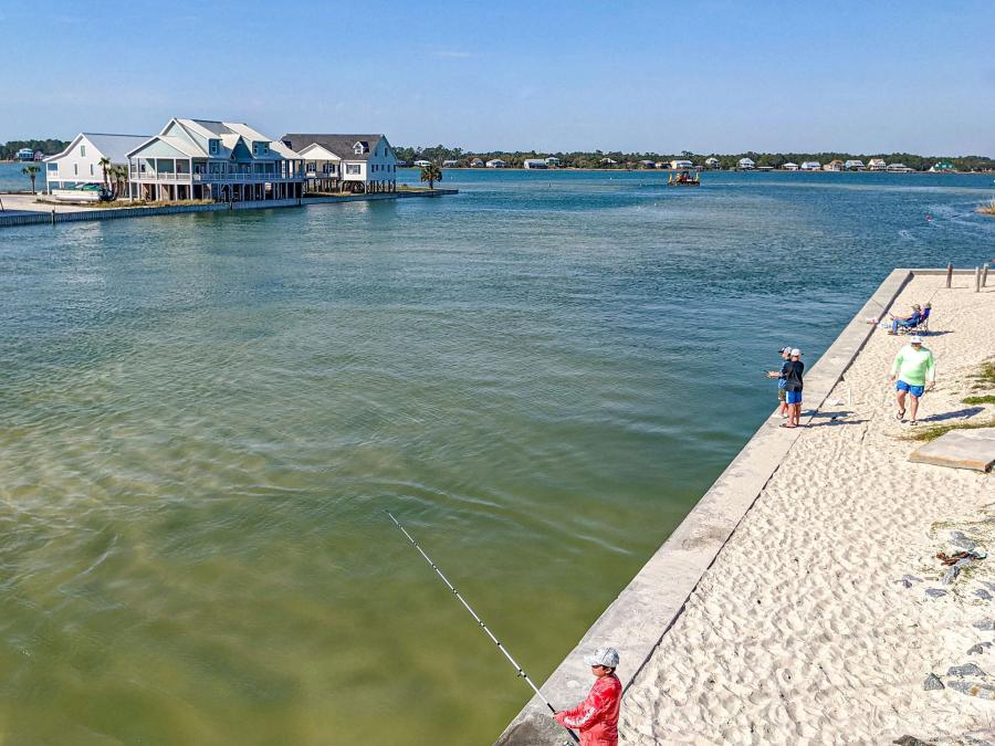 Alabama Fishing Seasons in Gulf Shores Orange Beach