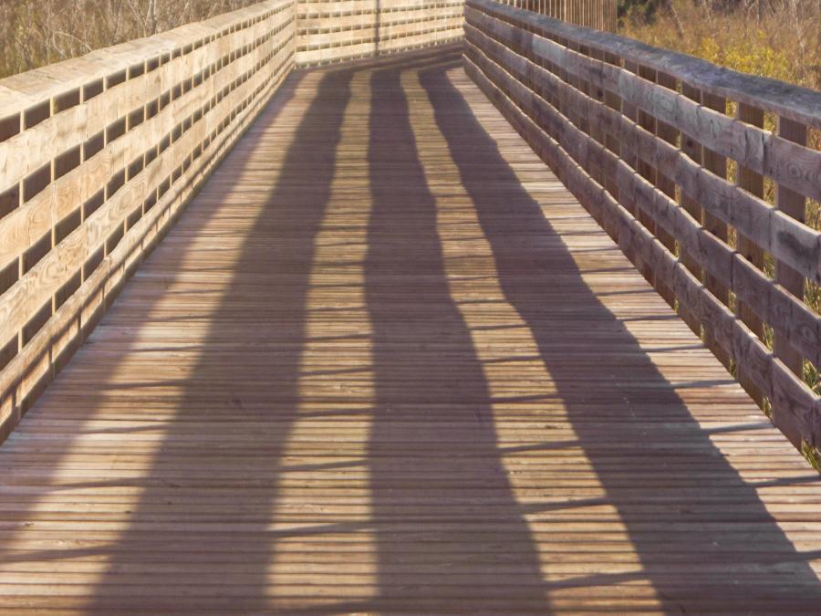 Gulf State Park