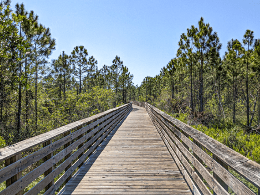 Back Country Trail