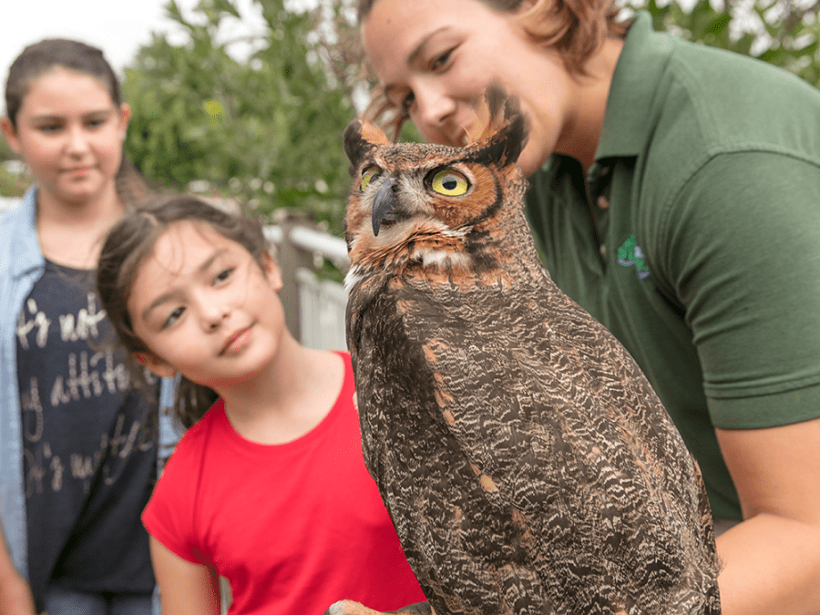 Gulf State Park Nature Center