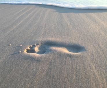 Leave Only Footprints
