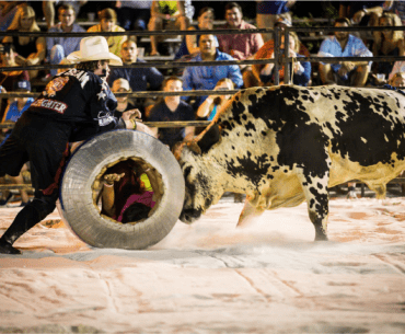 Cowboy and bull at Flora-Bama Bulls on the Beach rodeo