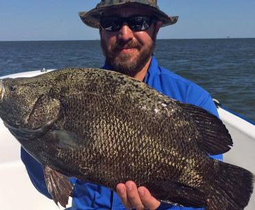 angler holding a tripletail caught while fishing in Orange Beach