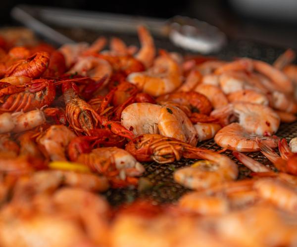 shrimp and crawfish at shrimp festival in gulf shores