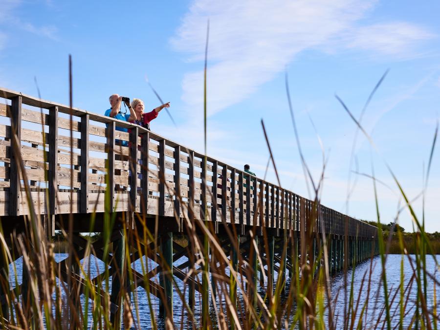 View of the boardwalk in GSP