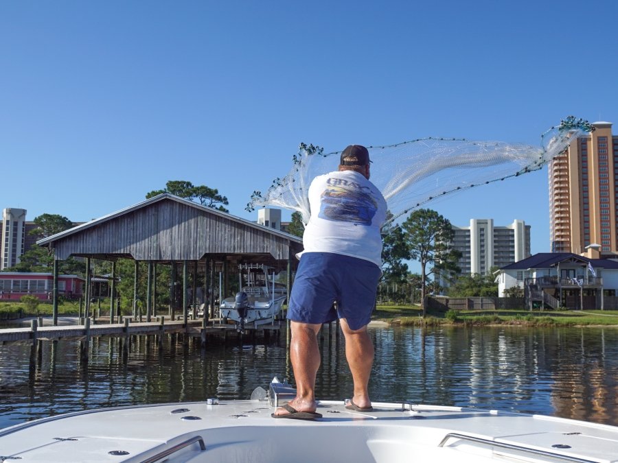 Angler casting a net into the back bays for bait