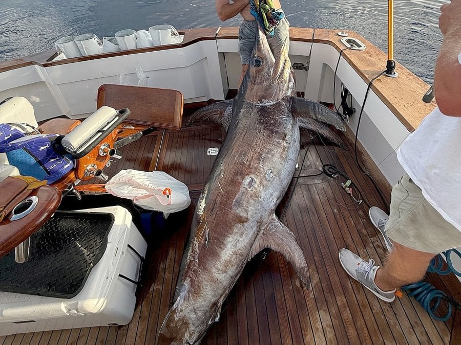 record breaking swordfish caught on orange beach boat