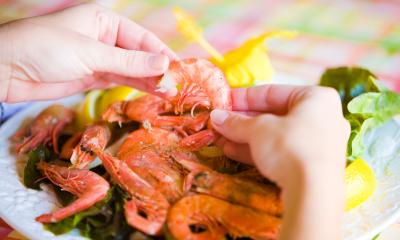 Gulf Shores Culinary