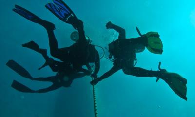 Orange Beach scuba dive