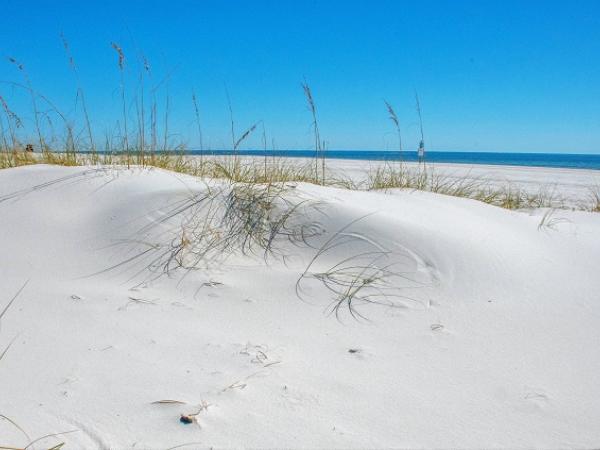 Gulf Shores In the News