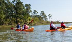 Things To Do In Gulf Shores Amp Orange Beach 2019
