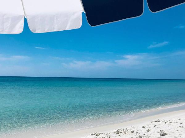 umbrella on beach 