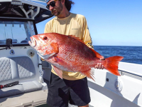 Angler holding a large red snapper caught in the Gulf on a charter fishing trip in Orange Beach