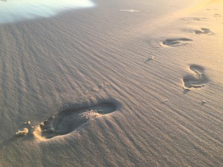 Leave Only Footprints