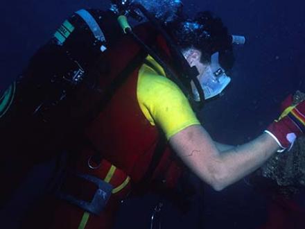 Scuba Diving