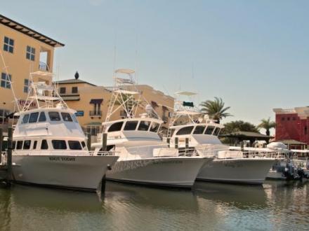Orange Beach Charter Fishing