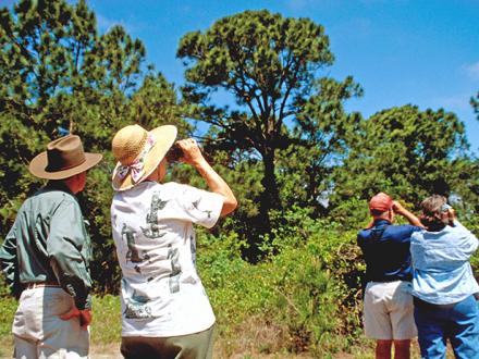 Birdwatchers on Alabama Coastal Birding Trail