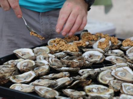 Cooked Oysters