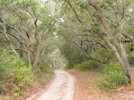Bon Secour National Wildlife Refuge in Gulf Shores, Alabama