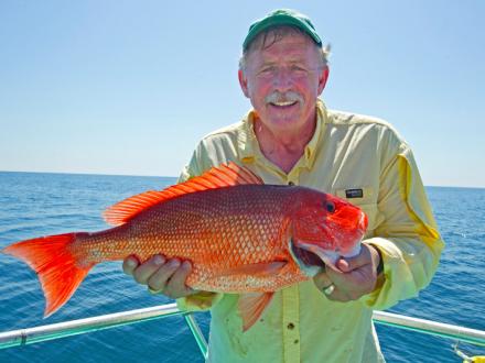 Red Snapper Orange Beach