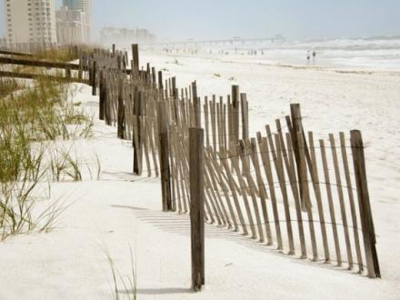 Orange Beach sand dune
