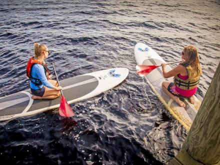 Girls paddleboarding in Gulf Shores