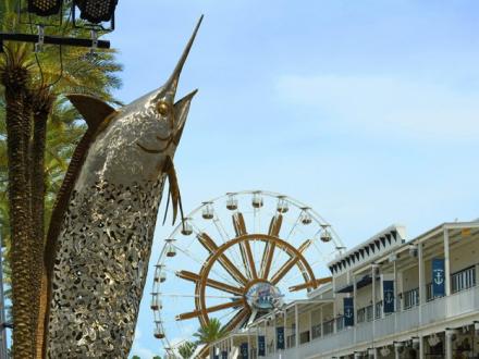 The Wharf Bill Fish Classic
