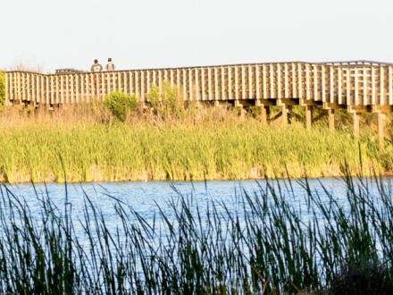 Hugh S Branyon Backcountry Trail Boardwalk
