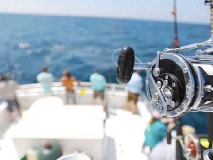 Charter fishing in Orange Beach AL