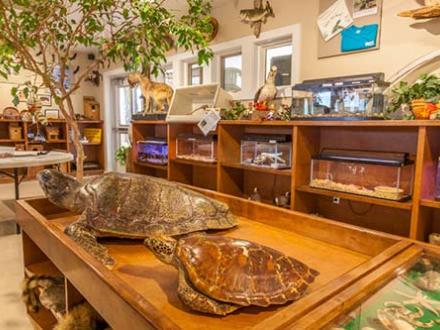 Gulf State Park’s Nature Center