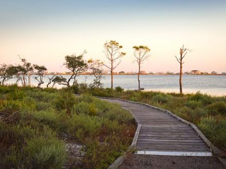 Bon Secour National Wildlife Refuge, Gulf Shores, AL