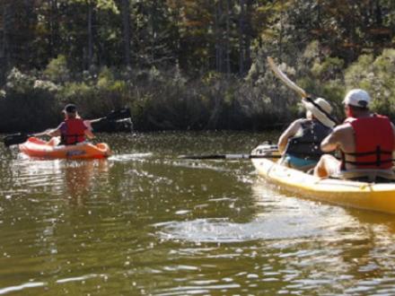 couple kayaking in Orange Beach al