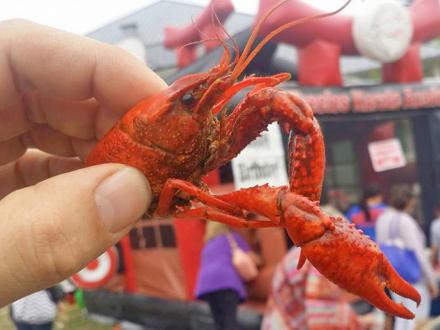 Waterway Village Zydeco & Crawfish Festival