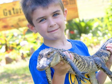 Boy holding baby alligator at Alligator Alley