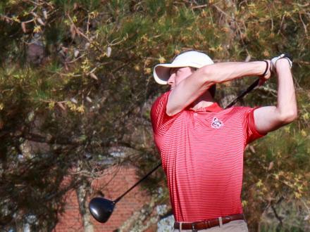 Golf Pro Tip Swing