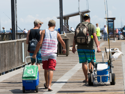 fishing on the Gulf State Park Pier Gulf Shores AL