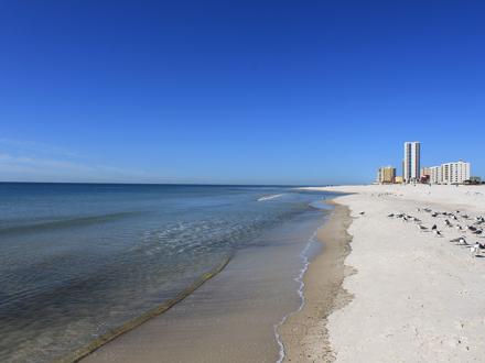 Beach Gulf Shores and Orange Beach, AL