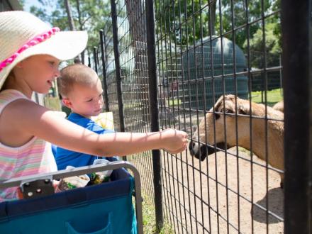 Alabama Gulf Coast Zoo