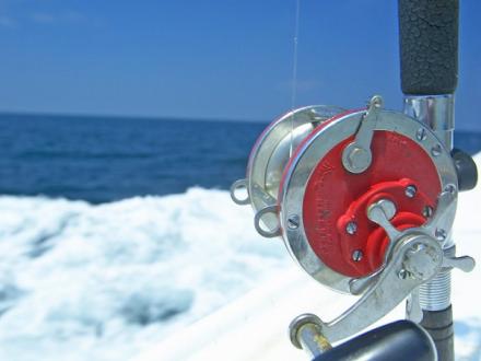 rod and reel fishing in Orange Beach AL