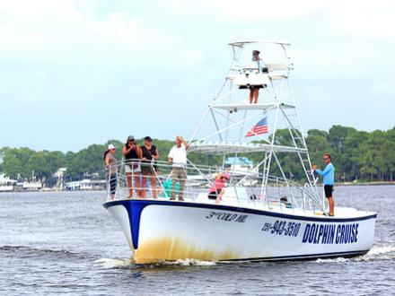 Dolphine Cruise in Orange Beach, AL