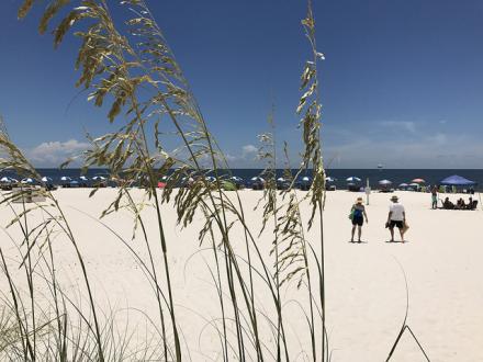 Beach Vacation in Gulf Shores and Orange Beach, AL