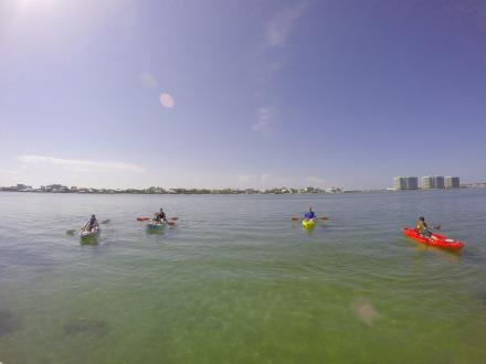 Water Sports in Gulf Shores and Orange Beach, AL
