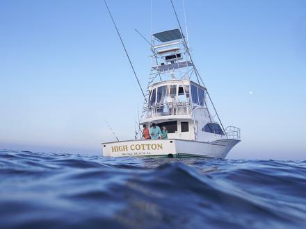 Gulf Shores and Orange Beach, AL Fishing